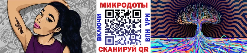Купить  Анадырь  Галлюциногенные грибы Magic Shrooms 